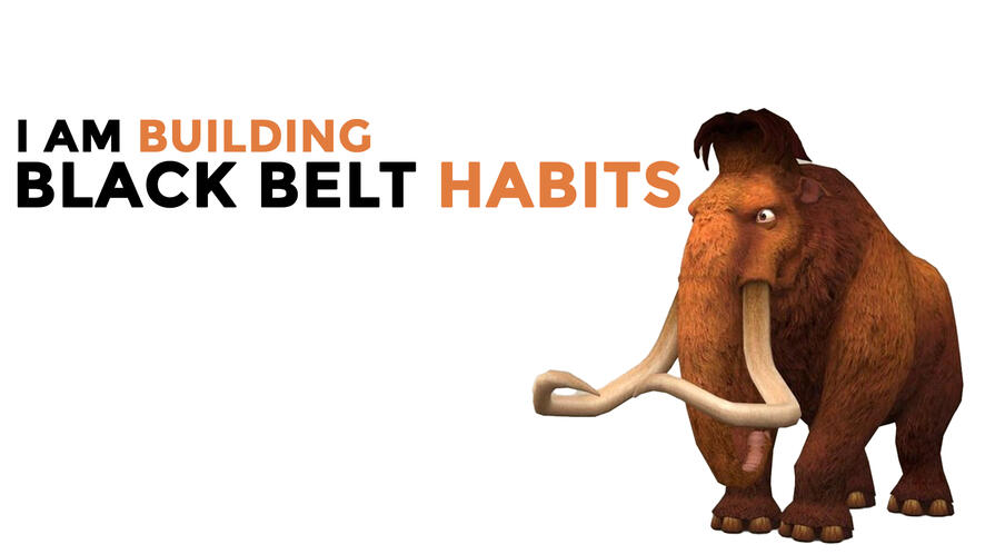 I am Building Black Belt Habits.